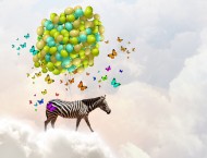 flying zebra